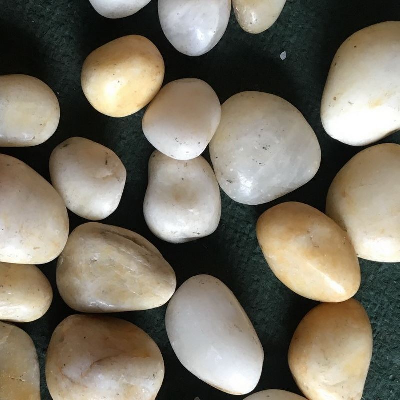 pebble garden.jpg