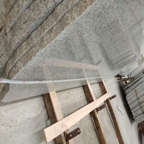 G603 Padang Light Granite 6